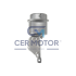 ZAWÓR WASTEGATE CER A9117 S410
