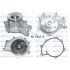 POMPA WODY DOLZ M652 MAN D0834 04-