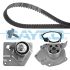 KOMPLET ROZRZĄDU DAYCO KTBWP4671 RENAULT 1.9DCi 09-