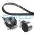 KOMPLET ROZRZĄDU DAYCO KTBWP4970 ROVER 1.8 95-09