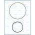 USZCZELKA VACUUM POMPY AJUSA 77005700 BMW 1.8-2.0