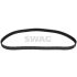 PASEK ROZRZĄDU SWAG 50921868 FORD 2.5D 91-