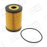 FILTR OLEJU CHAMPION COF100569E RENAULT 3.0DCI 00-