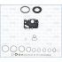 KOMPLET USZCZELEK BLOKU AJUSA 54302000 JAGUAR 2.0D 14-