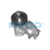 POMPA WODY DAYCO DP727 BMW 2.5-3.0D 99-