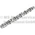 WAŁEK ROZRZĄDU BF 20100413008 VOLVO D13K 05-