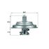 TERMOSTAT MAHLE TX5483D MERCEDES OM926 85-