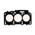 USZCZELKA GŁOWICY CORTECO 415462P VW 1.2 99-