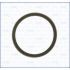 USZCZELKA TERMOSTATU AJUSA 00975700 FORD 1.0-2.2B+D 99-