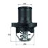 TERMOSTAT MAHLE TI4789 PSA 1.4-2.0 96-10