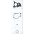 KOMPLET USZCZELEK POMPY WTRYSKOWEJ AJUSA 77031700 PSA 2.0HDI 16-