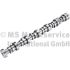 WAŁEK ROZRZĄDU BF 20100913001 DAF MX13 17-