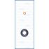 KOMPLET USZCZELEK WTRYSKIWACZA AJUSA 77026600 PSA 2.2HDI 06-