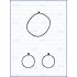 KOMPLET USZCZELEK POMPY WODY AJUSA 77001500 JEEP 3.0CRD 11-