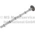 WAŁEK ROZRZĄDU BF 20100911001 DAF MX11 12-