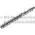 WAŁEK ROZRZĄDU BF 20100413006 VOLVO D13 10-
