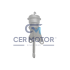 ZAWÓR WASTEGATE CER A10941 B1G