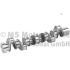 WAŁ KORBOWY BF 20050913000 DAF MX13 13-