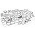 KOMPLET USZCZELEK SILNIKA ELRING 220580 MAN D0826 -