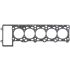 USZCZELKA GŁOWICY ELRING 808994 VW 5.0TDI V10 cyl6-10 02-