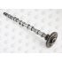 WAŁEK ROZRZĄDU AE CAM1017 BMW 2.5TD 04-07