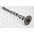 WAŁEK ROZRZĄDU AE CAM1021 BMW 3.0D 05-