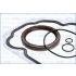 KOMPLET USZCZELEK BLOKU AJUSA 54098400 OPEL 2.2DTI X22DTH 98-