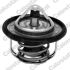TERMOSTAT VERNET TH7300.95J RENAULT 1.6-2.5 02-15