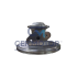 KORPUS CER A3957 C14