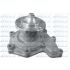 POMPA WODY DOLZ D217 DAF NS133 -