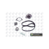 KOMPLET ROZRZĄDU BGA TB9701CPK RENAULT 20V 2.0 97-