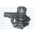 POMPA WODY DOLZ H602 CATERPILLAR 3046