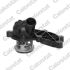 TERMOSTAT VERNET TH6989.88J VW 2.4-3.2 04-12