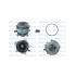 POMPA WODY DOLZ D329 DAF MX11 13-