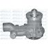 POMPA WODY DOLZ P360 PERKINS 4.236 -