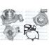 POMPA WODY DOLZ P504 POR 3.6 00-05
