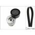 KOMPLET PASKA WIELOROWKOWEGO INA 529000910 RENAULT 1.5-1.6DCI 01-18
