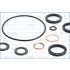 KOMPLET USZCZELEK BLOKU AJUSA 54074700 PSA 1.5D TUD5 94-