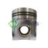 TŁOK MV PARTS P5622N STD CUMMINS 6CT8.3