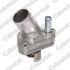 TERMOSTAT VERNET TH6860.76J NISSAN 3.5 00-