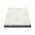 FILTR POWIETRZA CHAMPION CAF100958P BMW 3.0 03-16