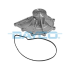 POMPA WODY DAYCO DP783 MERCEDES OM470/OM472 11-