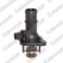 TERMOSTAT VERNET TE6976.105J VW 1.6 95-