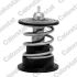TERMOSTAT VERNET TH7088.87 BMW 2.0-3.0D 04-17