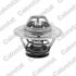 TERMOSTAT VERNET TH3309.79J RENAULT 1.9-2.8 80-