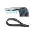 PASEK WIELOROWKOWY GATES 7PK1915 BMW 2.0 07-13