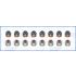 KOMPLET USZCZELNIACZY ZAWOROWYCH AJUSA 57031600 TOYOTA 1.3-2.7 99-