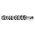 WAŁEK ROZRZĄDU AE CAM1046 OPEL 2.0CDTI 14-