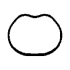 USZCZELKA KOLEKTORA SSĄCEGO CORTECO 450136H FORD 1.2-1.6 01-