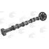 WAŁEK ROZRZĄDU AE CAM1040 VW 2.0TFSI 04-